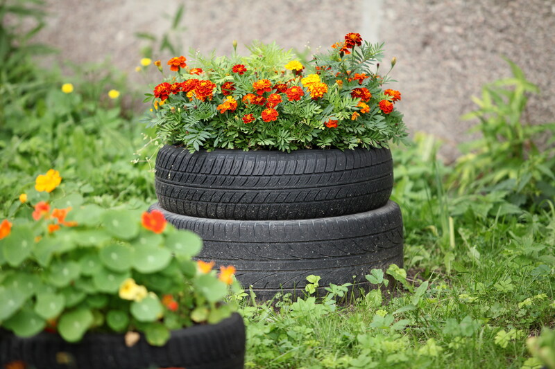 Home Garden